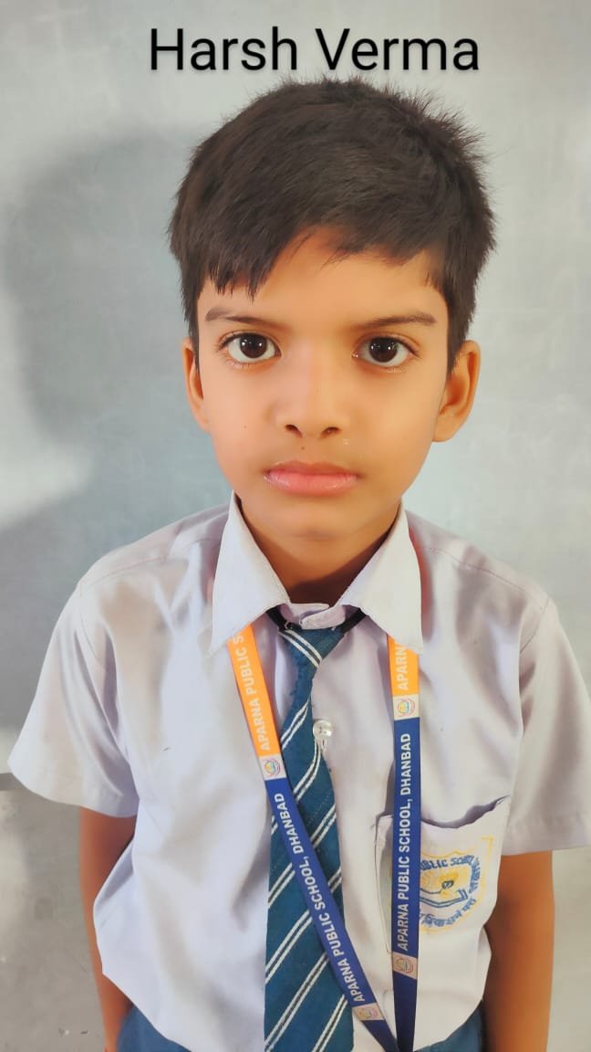 Harsh Kumar Verma